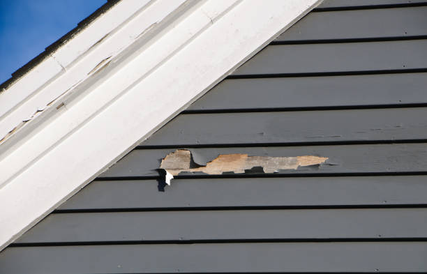 How To Choose The Right Materials for Your Siding Installation in 'Kingston Estates, NJ