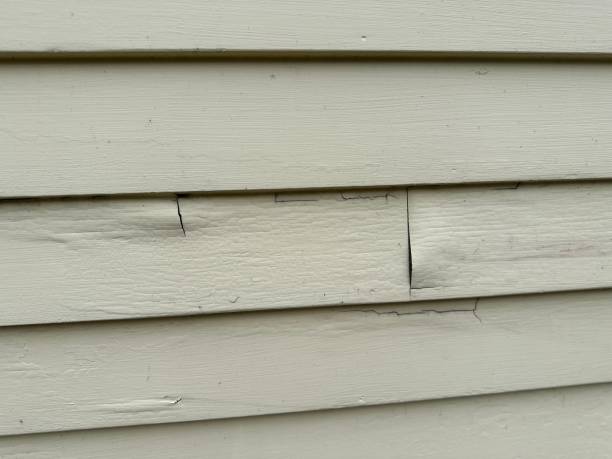 Best Historical Building Siding Restoration  in Kingston Estates, NJ